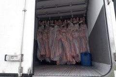 Produto recuperado, dentro do baú do caminhão