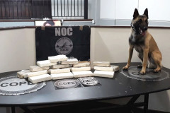 Drogas apreendidas e cão farejador sobre uma mesa