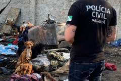 Policial civil observa local