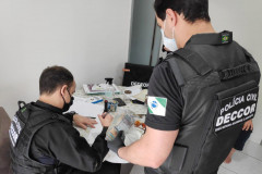 Policiais civis analisando material