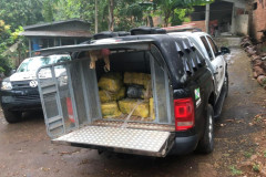 Viatura da policia civil carregada com droga apreendida