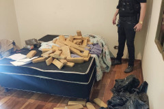 Policial observa diversos tabletes de droga espalhados em um cômodo