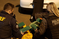 PCPR e PRF apreendem cerca de 55 quilos de maconha em Guarapuava