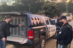 Policiais ao lado de viatura
