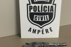 	PCPR apreende adolescente e elucida homicídio em Ampére  