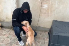 PCPR prende homem por maus-tratos e resgata três animais em Curitiba  