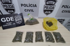 Pacotes com a droga apreendida