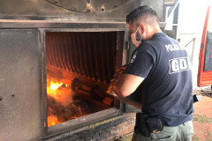 Policial civil jogando as drogas no incinerador