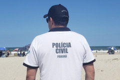 Policial de costas observando beira-mar