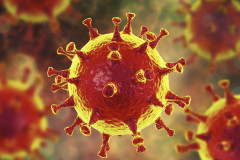 coronavirus