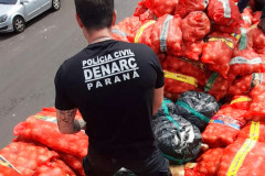Policial civil investigando local com a carga