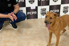 Delegado junto a cachorro em situação de maus-tratos, na delegacia