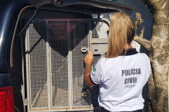 policial civil e viatura