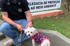 Policial civil sentado, segurando guia de cachorro resgatado. Ao fundo, placa da delegacia de proteção ao meio ambiente