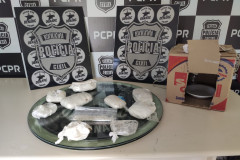 PCPR prende jovem com drogas e estufa artesanal na Lapa  