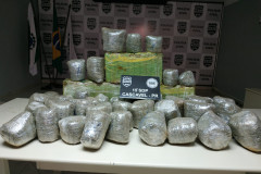 PCPR apreendeu 80 quilos de maconha em Cascavel  