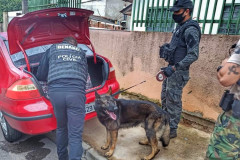 Policial civil realizando operação 