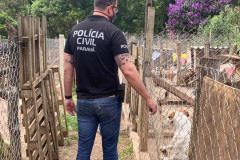 Policial civil observa local onde animais sofrem maus-tratos