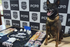 Cão policial sobre uma mesa ao lado de material apreendido
