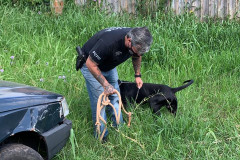 Policial civil resgata cão em situação de maus-tratos