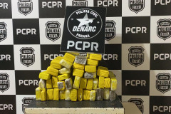 Droga apreendida pela PCPR