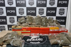 PCPR apreende mais de 100 quilos de drogas em Marechal Cândido Rondon