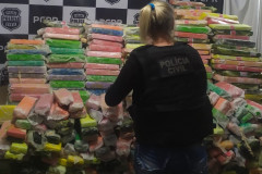 PCPR e PRF apreende mais de 1, 6 toneladas de maconha no pedágio de Cascavel  