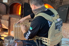 PCPR incinera duas toneladas de maconha em Santa Terezinha do Itaipu  