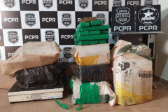 Pacotes com maconha são expostos em frente a banner da PCPR