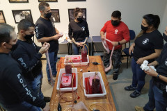 Participantes do curso reunidos