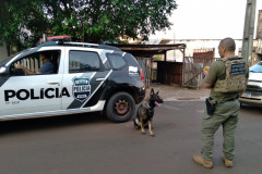 PCPR apreende drogas e armas no norte do Estado