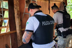 PCPR apreende armas e munições em Guaratuba