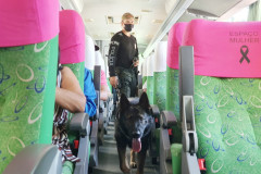 PCPR realiza fiscalização com auxílio de cães policiais na rodoviária de Matinhos