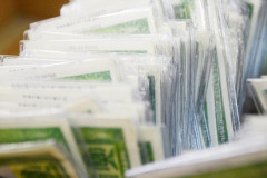 Dezenas de cédulas de identidade organizadas em caixa