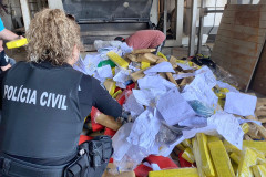 PCPR incinera mais de 700 quilos de drogas em Ponta Grossa