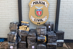 PCPR apreende 510 quilos de maconha e prende homem em Foz do Iguaçu