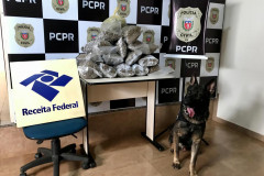 PCPR e Receita Federal apreendem 26,5 quilos de skank em dois estados 