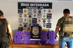 PCPR apreende 145 quilos de maconha e prende homem em Santo Inácio 