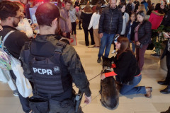 PCPR realiza evento de conscientização sobre drogas em Curitiba