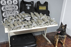 PCPR e PMPR apreendem 15,2 quilos de maconha na Rodoferroviária de Curitiba 