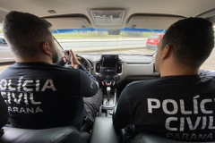 PCPR resgata 16 cães em situação de maus-tratos na RMC