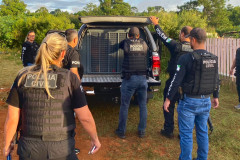 Vários policiais civis prendendo suspeitos em viatura