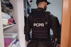 Policial civil de costas