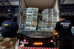 PCPR e PRF apreendem mais de 1,9 toneladas de maconha em Cascavel 