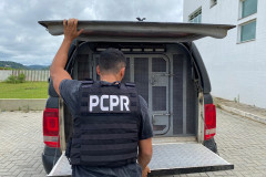 PCPR prende homem por tráfico de drogas em Araucária 