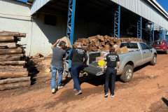 PCPR incinera drogas apreendidas em Iporã