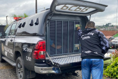 PCPR prende suspeito de duplo latrocínio contra idosos em Apucarana