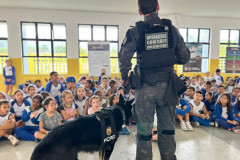 PCPR na Comunidade atende cerca de 600 crianças durante evento em Matinhos