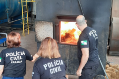 PCPR incinera mais de 1 tonelada de drogas em Iporã 