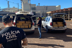 PCPR incinera mais de 2 toneladas de drogas em Cafelândia